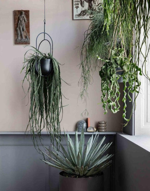 Vaso Hanging Deco Pot